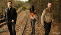 Rick Grimes,Michonne,The Governor - the-walking-dead photo