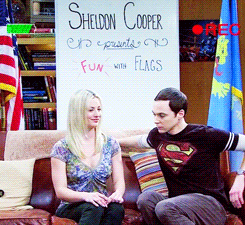  Sheldon and Penny ファン Art