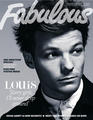The Louis Image - louis-tomlinson photo