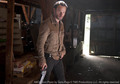 The Walking Dead Season 3 Episode 13 - the-walking-dead photo