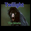Twilight Movie fan cover - twilight-series fan art