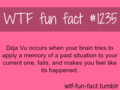 WTF Fun Fact  - random fan art