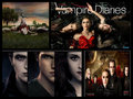 vampire diaries and twilight crossover - the-vampire-diaries fan art