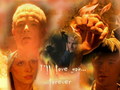 buffy-summers -  Buffy and Spike  wallpaper