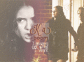 “No one in this world is truly fearless, Stefan. Not even Niklaus.” - the-vampire-diaries fan art
