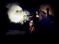 the-vampire-diaries -  The Vampire Diaries  wallpaper
