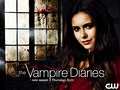 the-vampire-diaries -  The Vampire Diaries  wallpaper