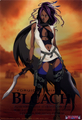 Bleach Scans - anime photo
