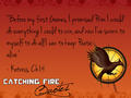 Catching Fire quotes - the-hunger-games fan art