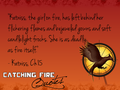 Catching Fire quotes - the-hunger-games fan art