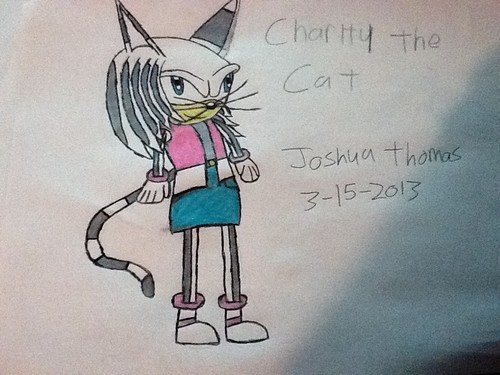 Charity the Cat