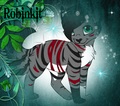 Robinkit - make-your-own-warrior-cat fan art