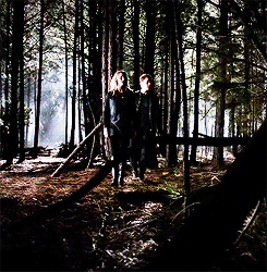 Steroline in the forest