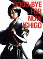 The Lost Agent Arc DVD covers - bleach-anime photo