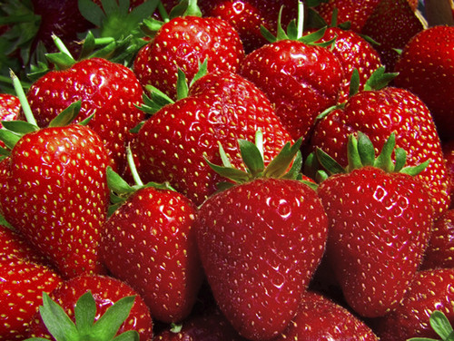 <3 ~Strawberries~ <3
