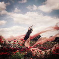 A Passion for Roses - daydreaming photo