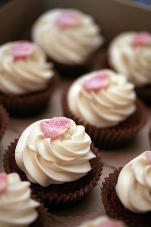 Cupcakes - Cupcakes Photo (34080227) - Fanpop