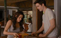 BD part 1,extended edition - twilight-series photo