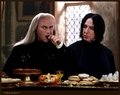 Embarrassing Photos of Snape & Lucius - snapes-family-and-friends photo