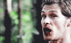 Klaus Mikaelson + up close & personal.