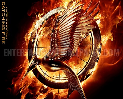  The Hunger Games : Catching آگ کے, آگ [2013]