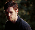 Why don’t you find someone less terrible you can relate to - klaus-and-caroline photo