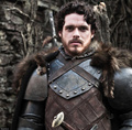 Robb Stark - game-of-thrones photo