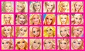 Barbie's Face on BM's Cover - barbie-movies fan art