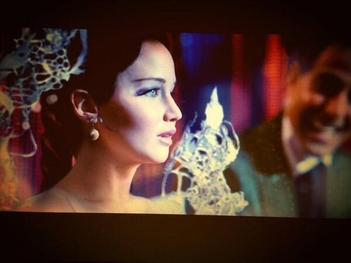  Catching Fire-screencapture from the movie