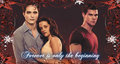 Forever is only the beginning - twilight-series fan art