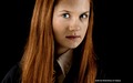 Ginny Weasley Wallpaper  - harry-potter wallpaper