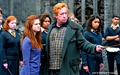 Ginny Weasley Wallpaper  - harry-potter wallpaper