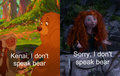 I don't speak bear - disney-princess photo