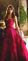Ladies’ Gowns at The Prom - the-vampire-diaries photo