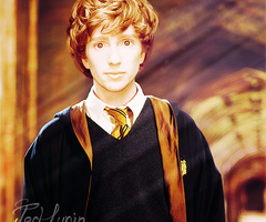  Luke Newberry in Harry Potter