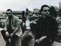 Paramore on Alternative Press magazine - paramore photo