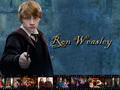 harry-potter - Ron♥ wallpaper
