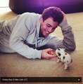 Tom with his new Micro Pig, Robby-Ray! - tom-daley photo