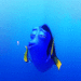 findng nemo - finding-nemo icon