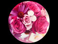 pink flowers - flowers fan art