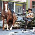 rick and his horse sitting - the-walking-dead photo