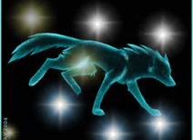  serigala, wolf runnin in the dark