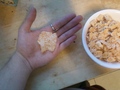 A Giant Frosted Flake. - random photo