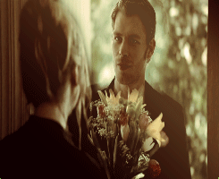 AU/ Little Klaroline obessions - His need to surprise her with flowers. In every way possible.