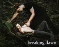 Breaking Dawn Part 1 - robert-pattinson-and-kristen-stewart photo