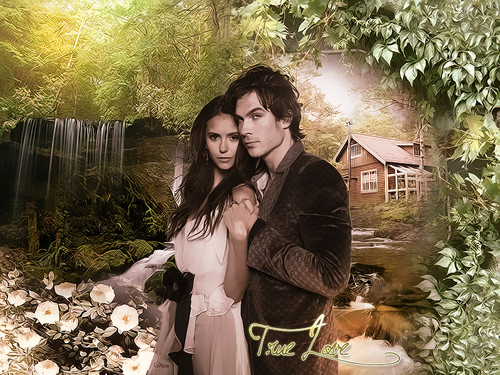  Damon+Elena