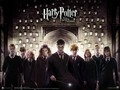 Harry Potter - harry-potter wallpaper