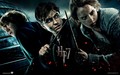 Harry Potter - harry-potter wallpaper