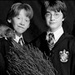 Harry and Ron  - harry-potter icon