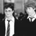 Harry and Ron - harry-potter icon